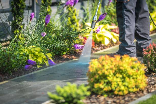 Best Pool Deck Cleaning  in Beaver Dam, WI